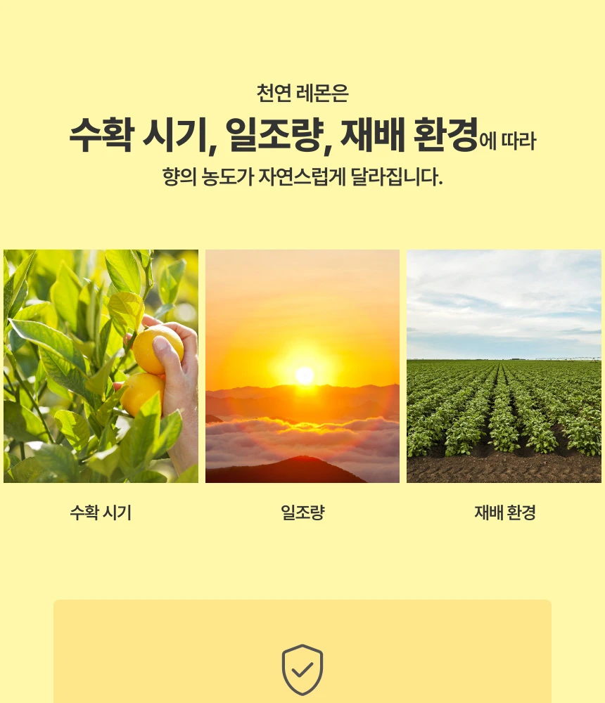 최적의 수확 시기와 재배 환경에서 얻은 정직한 원료로 만든 브랜드 스토리입니다.