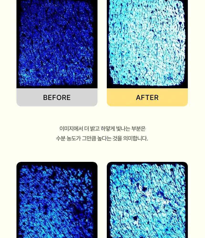 거친 피부 단면이 수분 광채로 가득 채워진 현미경 비교 샷으로 보는 비포 애프터입니다.