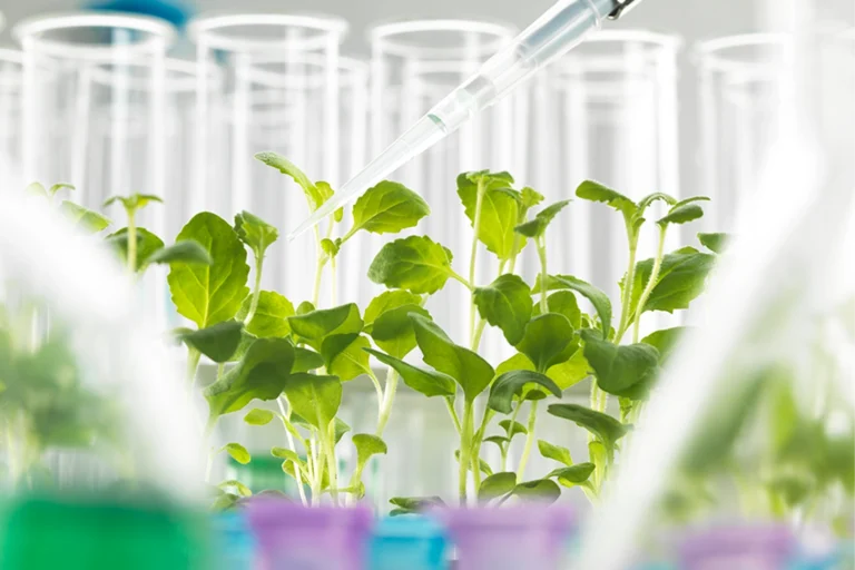 최첨단 R&D 센터에서 진행되는 친환경 식물 배양 과정으로, 지속 가능한 뷰티를 향한 블라쥬의 철학을 담았습니다.